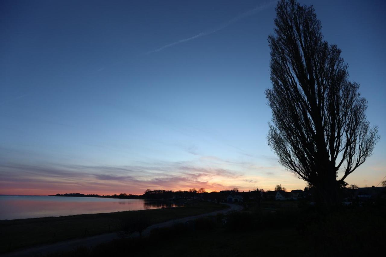 Ferienwohnung Drachen Alt Reddevitz Buitenkant foto
